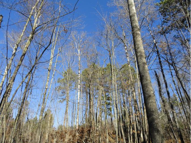 5618 Birchbark Landing, Biwabik, MN 55708