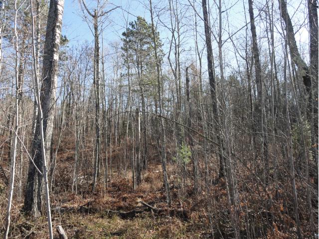 5618 Birchbark Landing, Biwabik, MN 55708