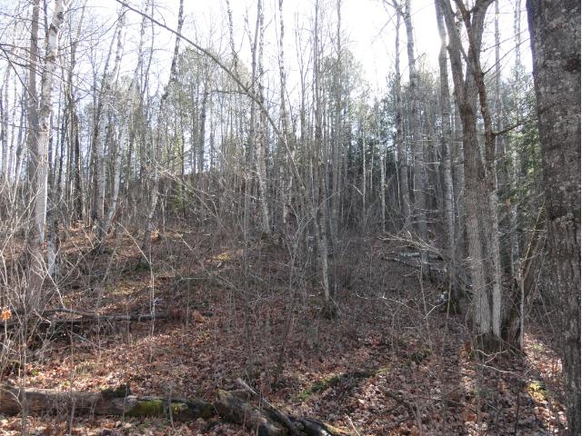 5618 Birchbark Landing, Biwabik, MN 55708