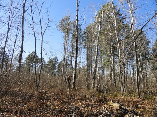 6124 Voyageurs Trail, Biwabik, MN 55708