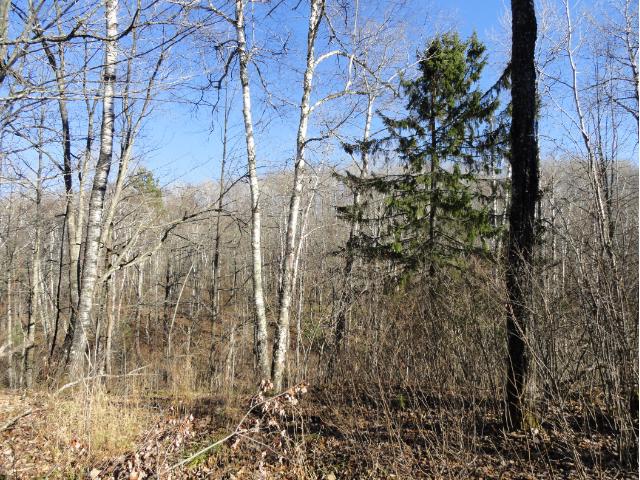 6124 Voyageurs Trail, Biwabik, MN 55708