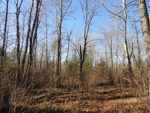 6174 Voyageurs Trail, Biwabik, MN 55708
