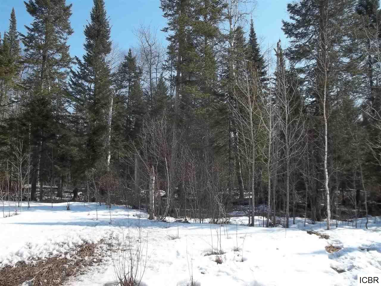 TBDRAHKO RD, Balsam Township, MN 55709