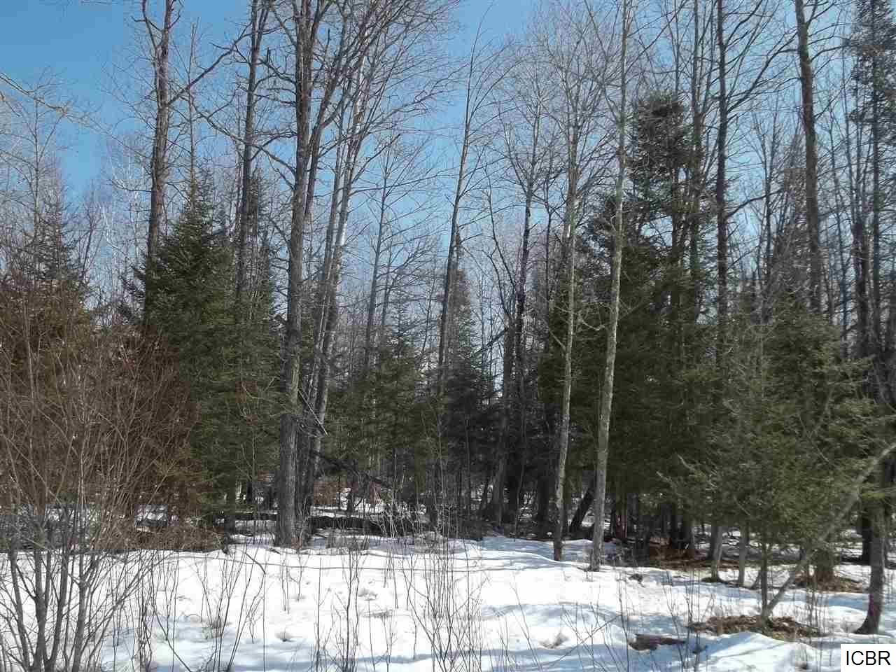TBDRAHKO RD, Balsam Township, MN 55709