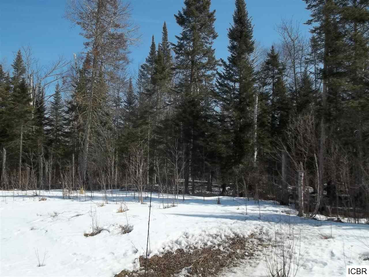 TBDRAHKO RD, Balsam Township, MN 55709
