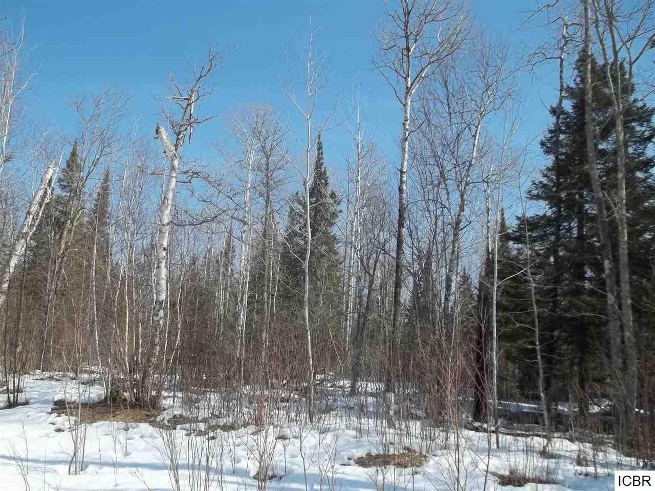 TBDRAHKO RD, Balsam Township, MN 55709