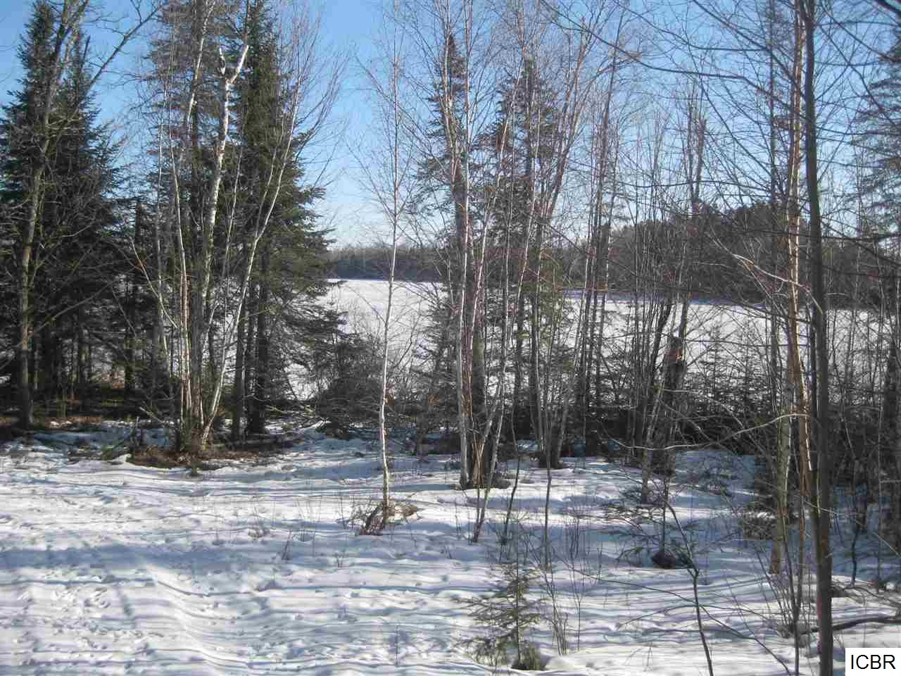 TBDCOUNTY RD 333, Balsam Township, MN 55709