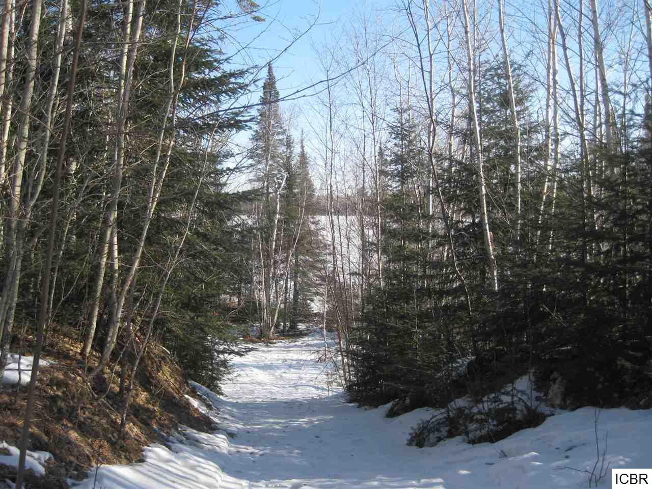 TBDCOUNTY RD 333, Balsam Township, MN 55709