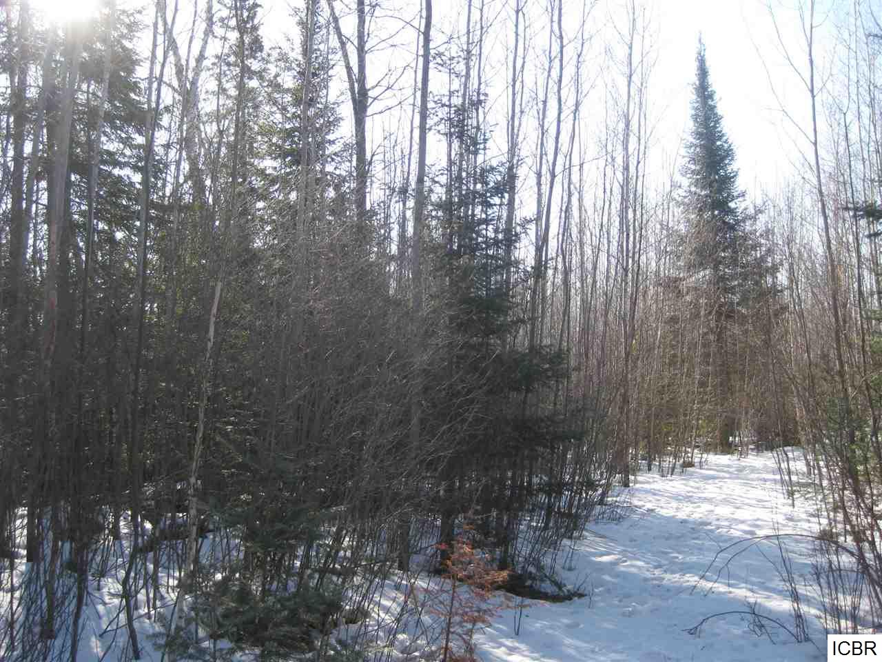 TBDCOUNTY RD 333, Balsam Township, MN 55709