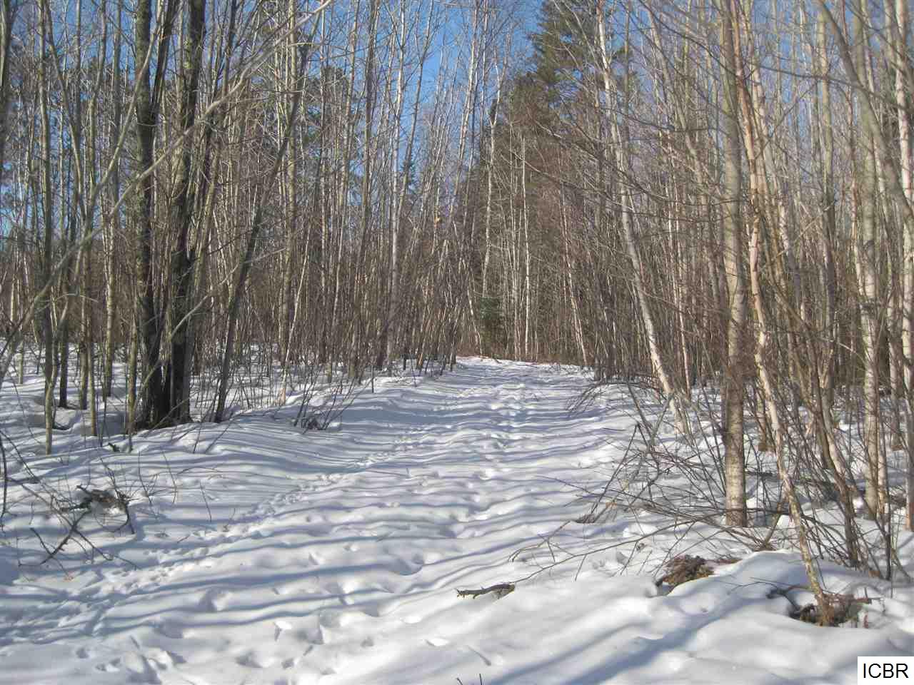 TBDCOUNTY RD 333, Balsam Township, MN 55709