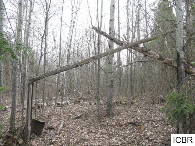 TBDTWIN LAKES DR, Bovey, MN 55709
