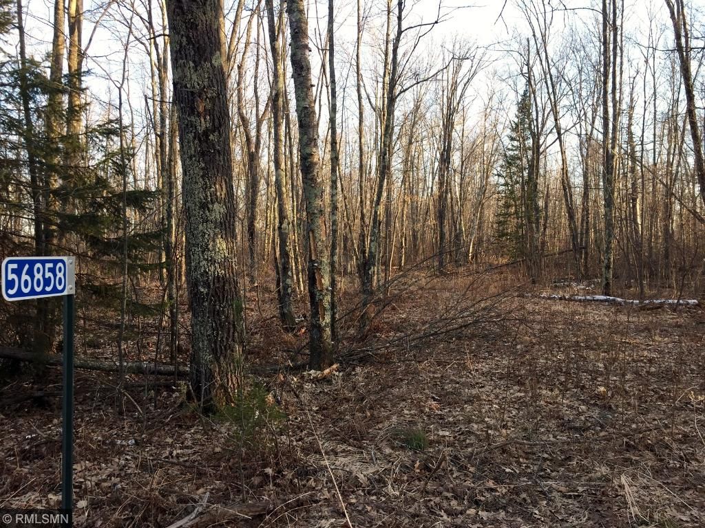 56858 Park Hills Road, Bruno, MN 55712
