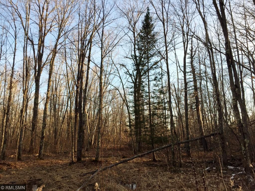 56858 Park Hills Road, Bruno, MN 55712