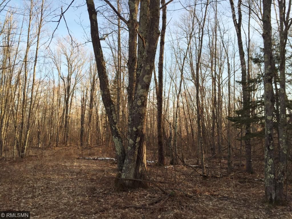 56858 Park Hills Road, Bruno, MN 55712