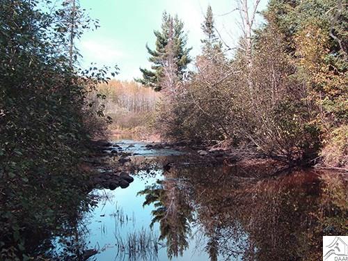 TBD Forest Rd 279, Chisholm, MN 55719