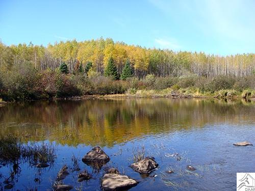 TBD Forest Rd 279, Chisholm, MN 55719