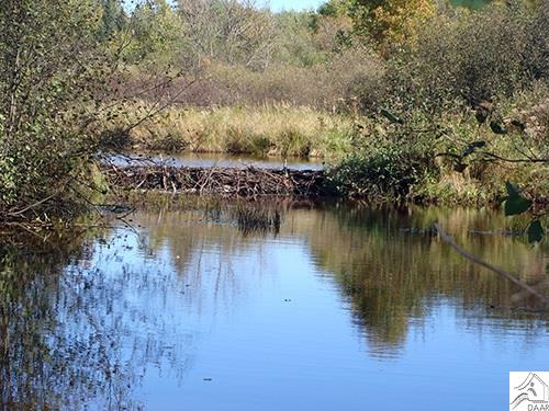 TBD Forest Rd 279, Chisholm, MN 55719
