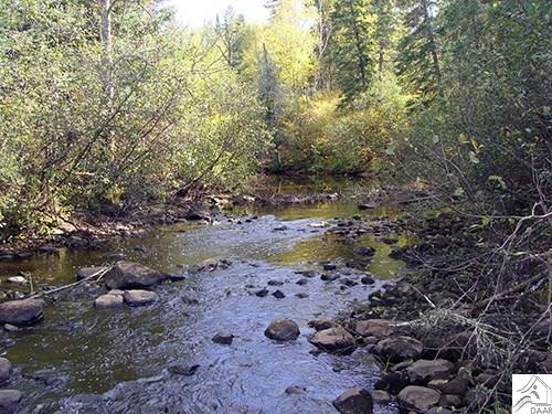 TBD Forest Rd 279, Chisholm, MN 55719
