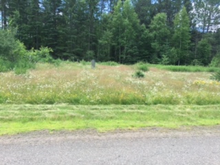 XXXX White Pine Drive, Cloquet, MN 55720