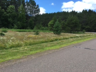 XXXX White Pine Drive, Cloquet, MN 55720