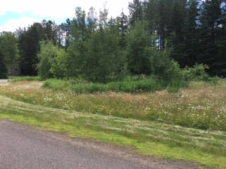 XXXX White Pine Drive, Cloquet, MN 55720