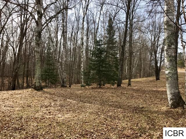 37148PINCHERRY RD, Cohasset, MN 55721