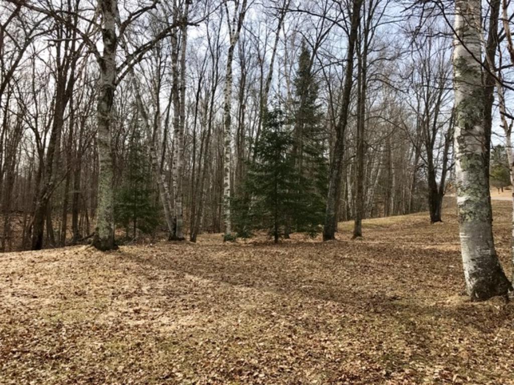 37148 Pincherry Road, Cohasset, MN 55721