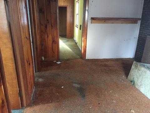 Cook, MN 55723