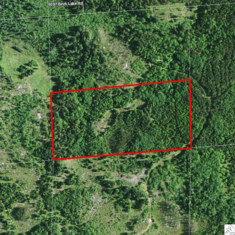 Birch Lake Rd, Ely, MN 55731