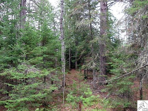 TBD Maple St, Ely, MN 55731