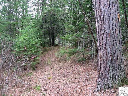 TBD Maple St, Ely, MN 55731