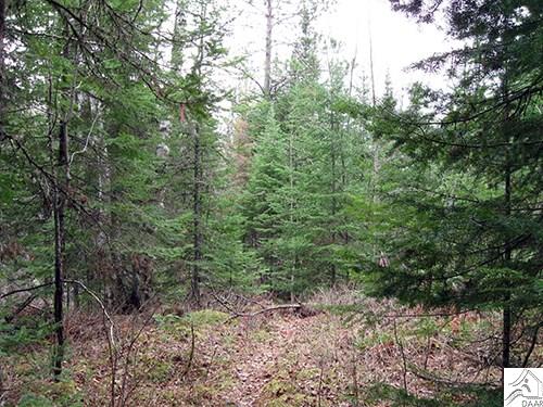 TBD Maple St, Ely, MN 55731