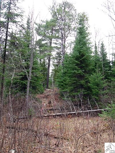 TBD Maple St, Ely, MN 55731