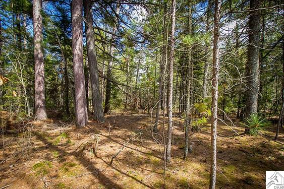 TBD Echo Tr, Ely, MN 55731