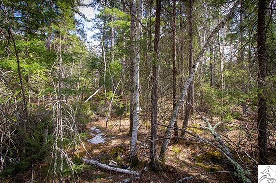 TBD Echo Tr, Ely, MN 55731