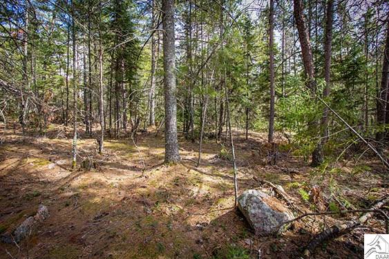 TBD Echo Tr, Ely, MN 55731