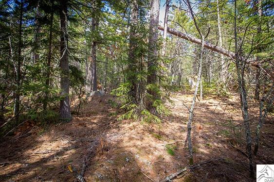 TBD Echo Tr, Ely, MN 55731