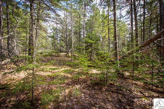 TBD Echo Tr, Ely, MN 55731