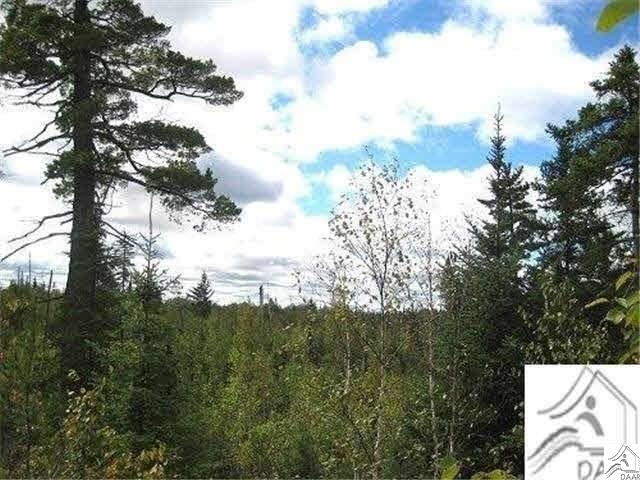 tbd Snowbank Lake Rd, Ely, MN 55731