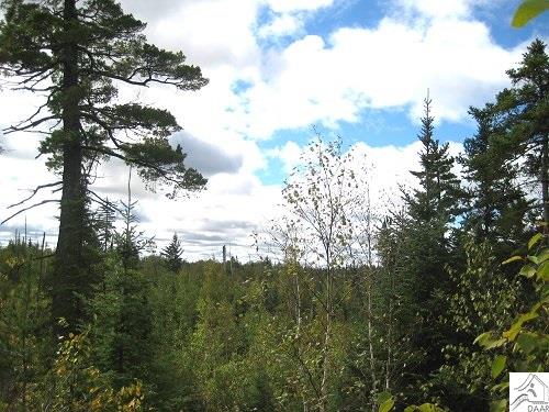 tbd Snowbank Lake Rd, Ely, MN 55731