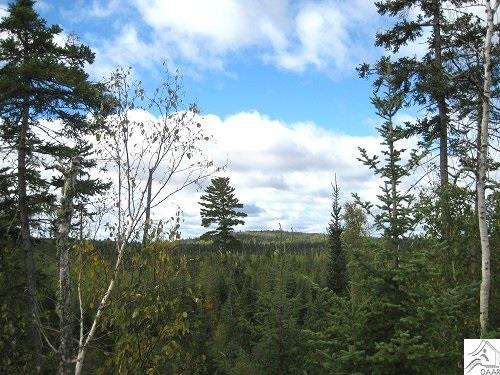 tbd Snowbank Lake Rd, Ely, MN 55731