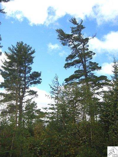 tbd Snowbank Lake Rd, Ely, MN 55731