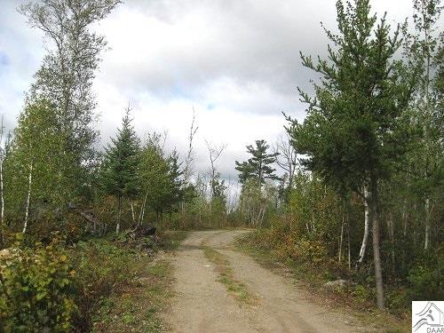 tbd Snowbank Lake Rd, Ely, MN 55731