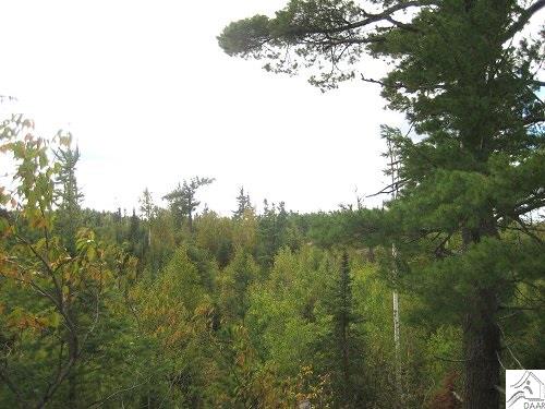tbd Snowbank Lake Rd, Ely, MN 55731