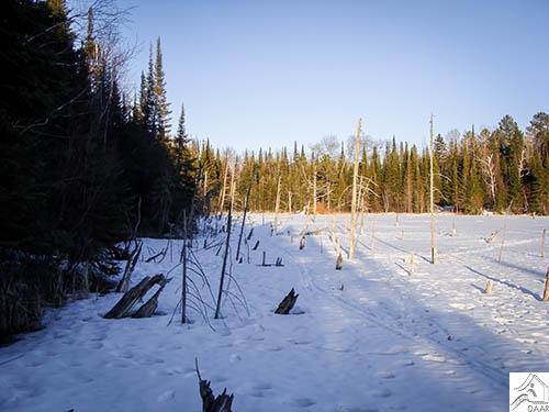 TBD Pioneer Rd, Ely, MN 55731