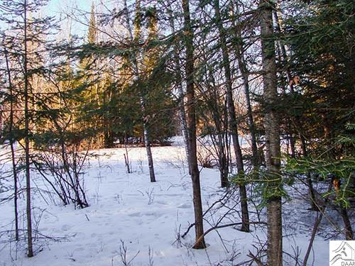 TBD Pioneer Rd, Ely, MN 55731
