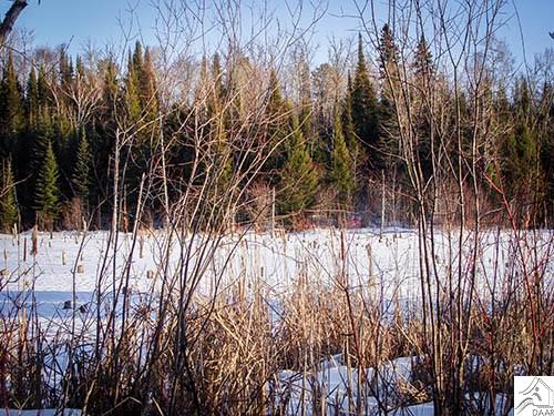 TBD Pioneer Rd, Ely, MN 55731