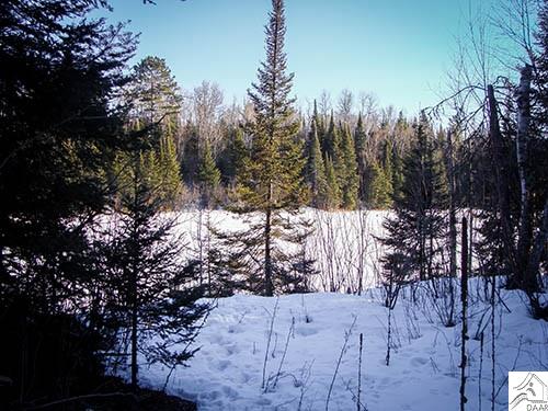 TBD Pioneer Rd, Ely, MN 55731