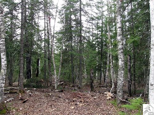 TBD Fernberg Tr, Ely, MN 55731