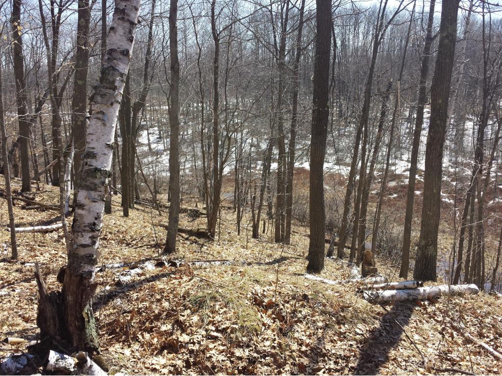 11XXX 116th Ln, Wagner Twp, MN 55735